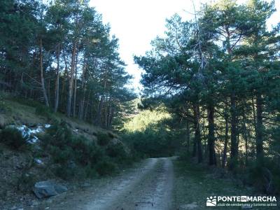 Chorro de San Mamés - Montes Carpetanos - trekking;sendero norte rutas navarra senderismo